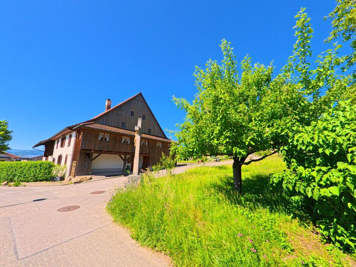 In Blauen (4223, Kanton Basel-Landschaft) steht ein traditionelles Bauernhaus mit Holzfassade am Rand einer sonnigen Wiese mit blühenden Obstbäumen.
