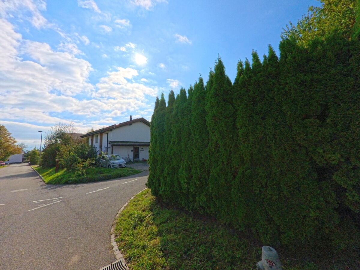 Eine kleine Strasse in Bözberg (5225, Kanton Aargau) führt an dichten immergrünen Hecken vorbei zu einem Einfamilienhaus mit Garagenzufahrt.