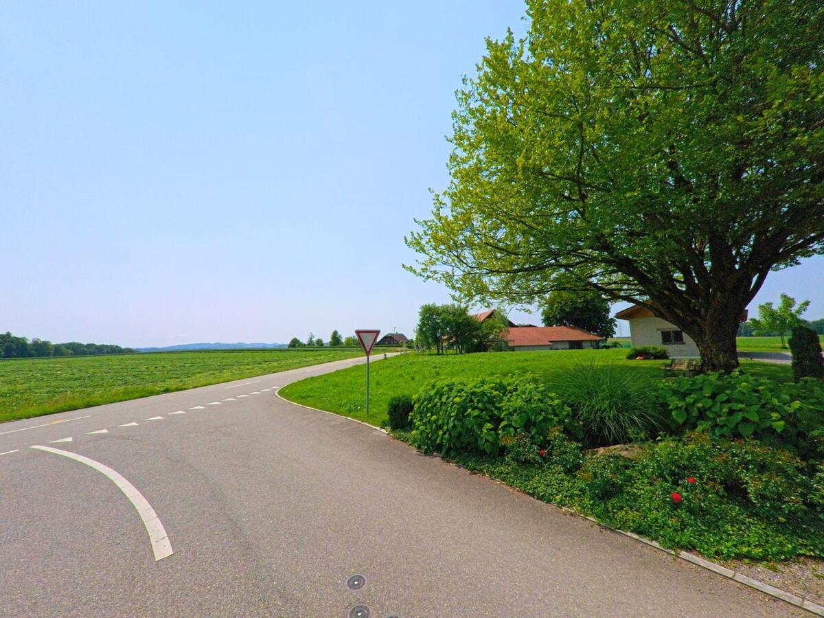 An einer ruhig geschwungenen Strasse in Bolken (4556, Kanton Solothurn) steht ein grosses Landhaus unter einem schattenspendenden Baum mit Blick auf die weiten Felder.