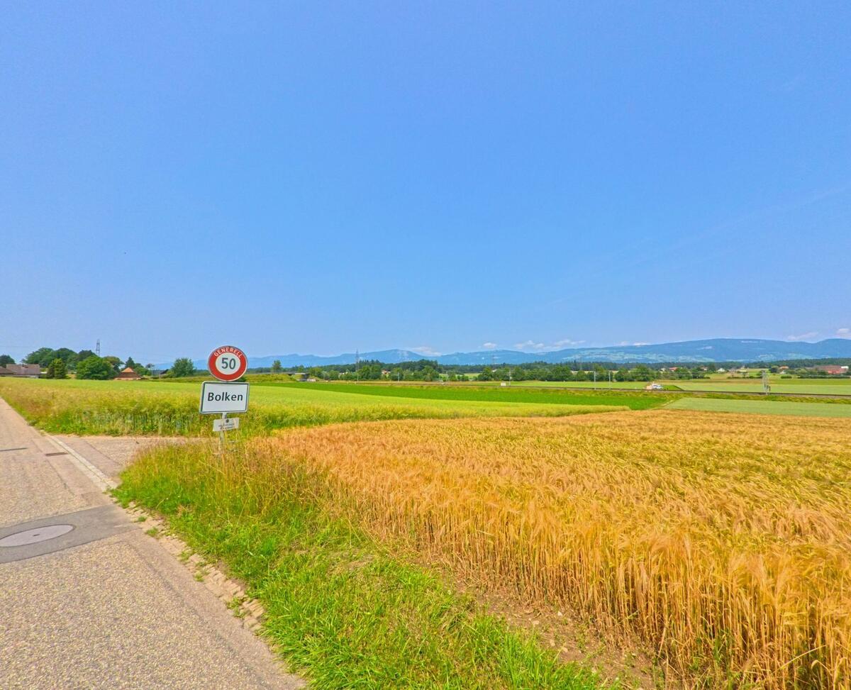 Ein Ortsschild von Bolken (4556, Kanton Solothurn) steht am Rand eines goldenen Getreidefelds mit Blick auf weite Felder und das Juragebirge im Hintergrund.