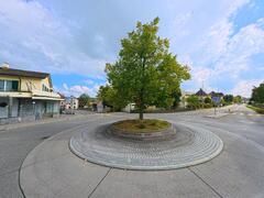 Boniswil