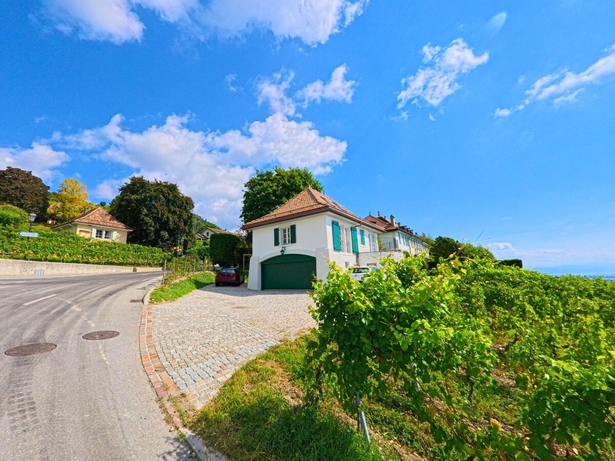 Ein kleines Haus mit gruenen Fensterlaeden in Bougy-Villars (1172, Kanton Waadt) steht am Rand von Weinreben an einer sanft geschwungenen Strasse.