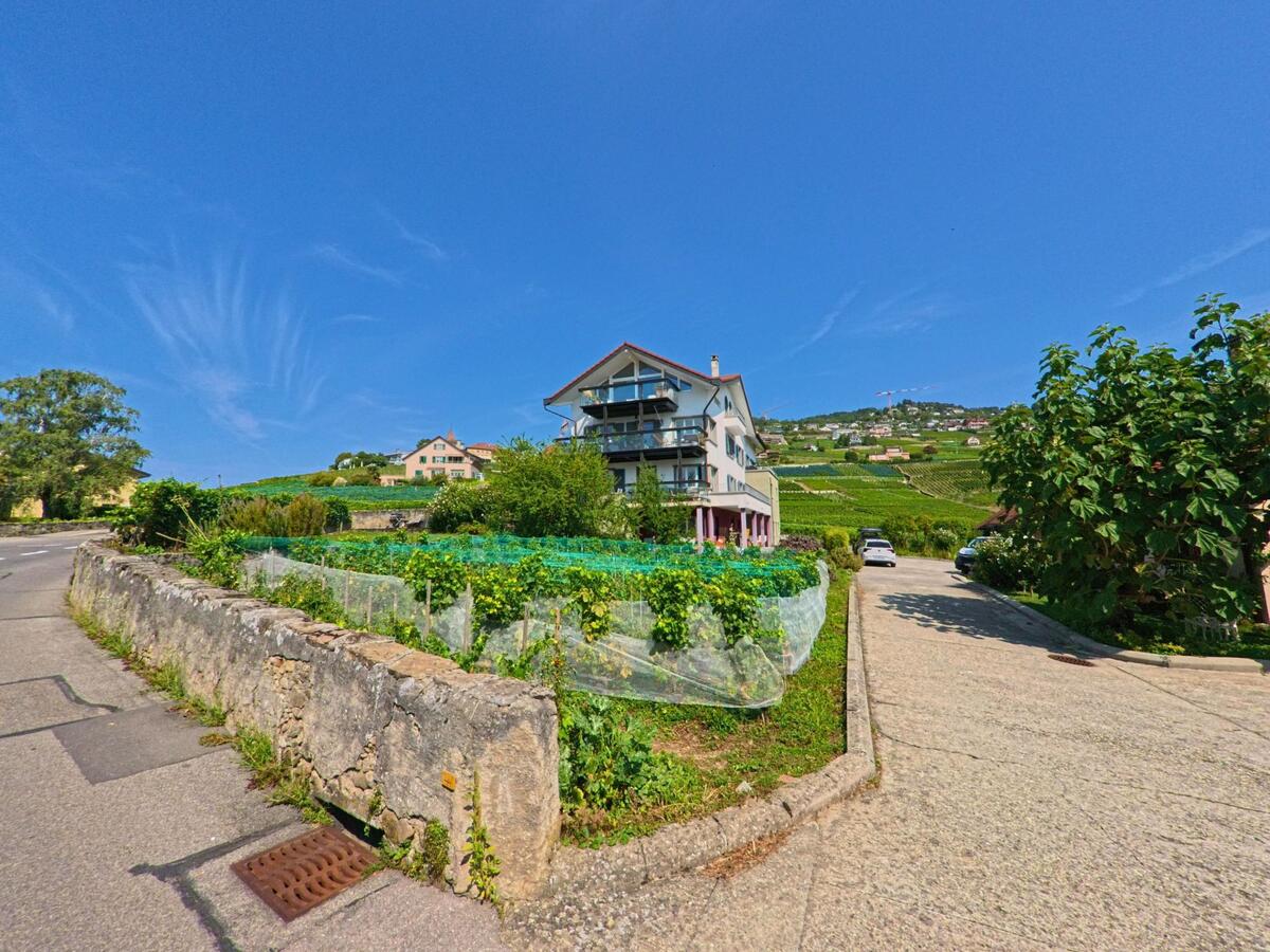 Ein modernes Wohnhaus in Bourg-en-Lavaux (1096, Kanton Waadt) steht zwischen Weinbergen, mit einer Auffahrt und geparkten Autos im Vordergrund.