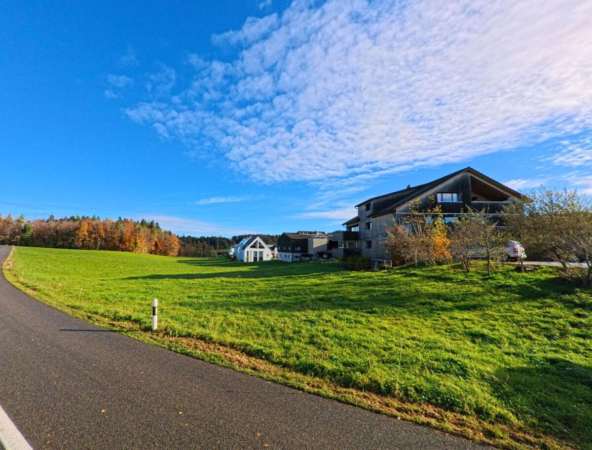 Am Siedlungsrand von Braunau (9502, Kanton Thurgau) erstreckt sich eine offene Gruenflaeche mit modernen Wohnhaeusern vor herbstlichem Wald und weitem Himmel.