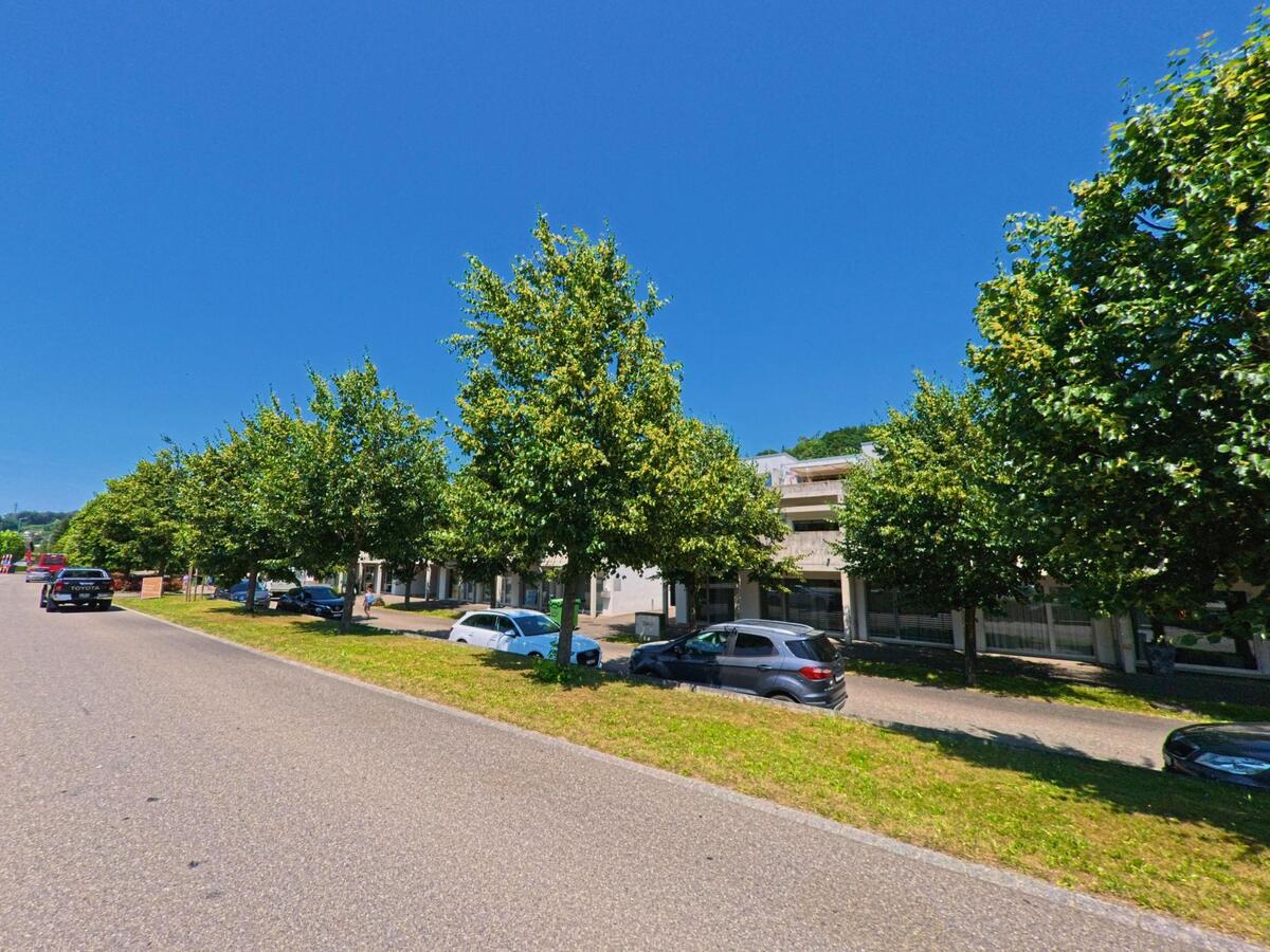 Eine von Bäumen gesäumte Strasse in Bremgarten bei Bern (3047, Kanton Bern) führt an modernen Gebäuden mit Parkplätzen entlang.