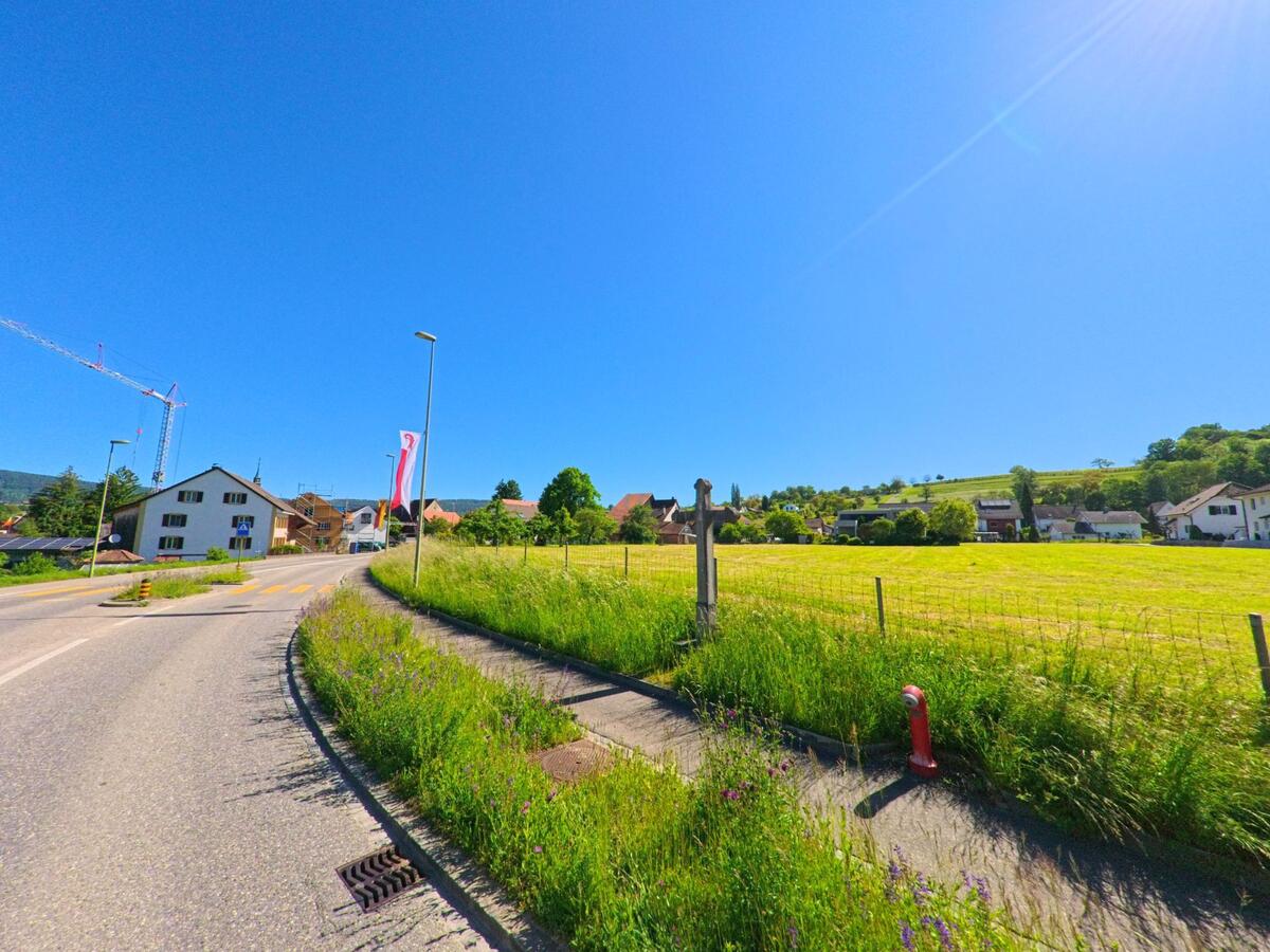 Am Ortseingang von Brislach (4225, Kanton Baselland) verläuft die Strasse entlang einer weitläufigen Wiese mit Blick auf verstreute Häuser und Rebhänge im Hintergrund.