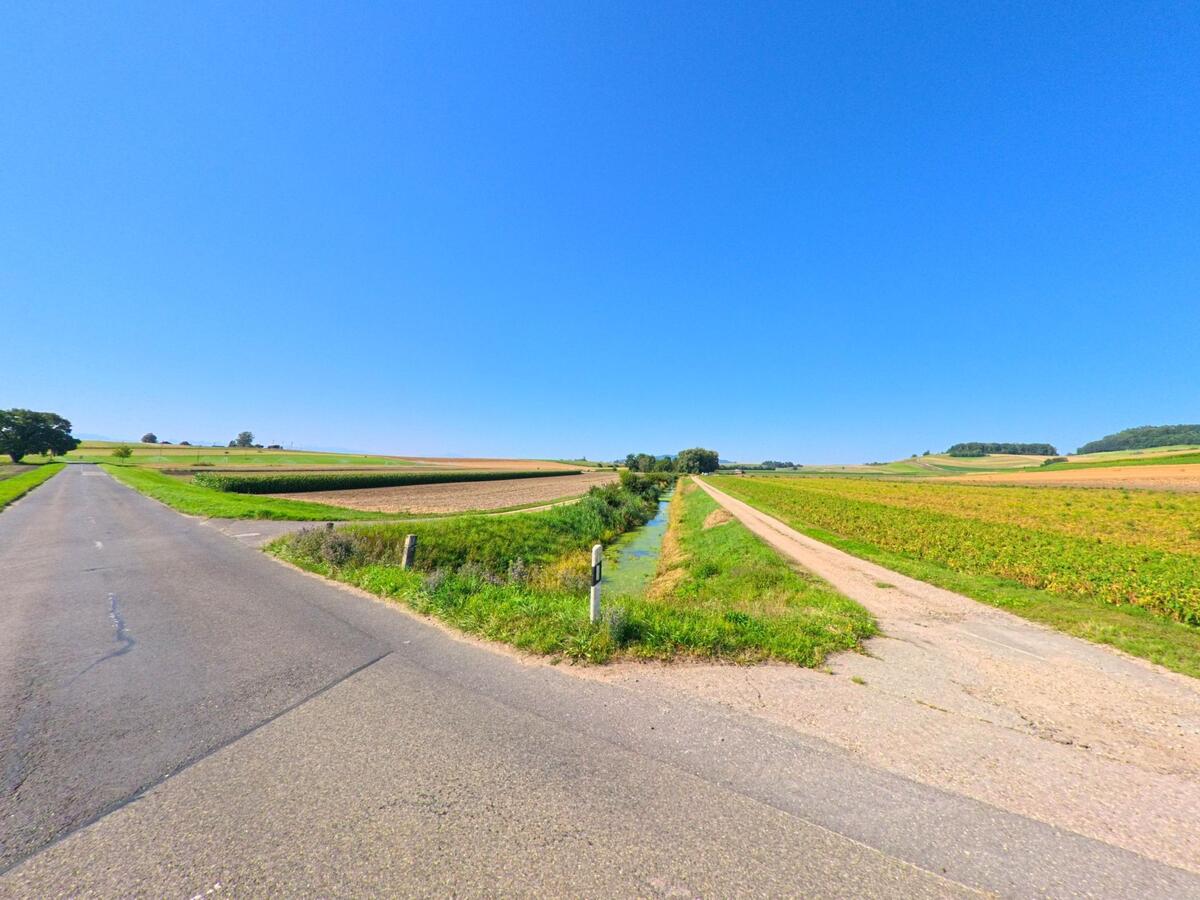 Zwischen den Feldern von Brüttelen (3237, Kanton Bern) verläuft ein schmaler Wassergraben parallel zu einem Feldweg unter blauem Himmel.
