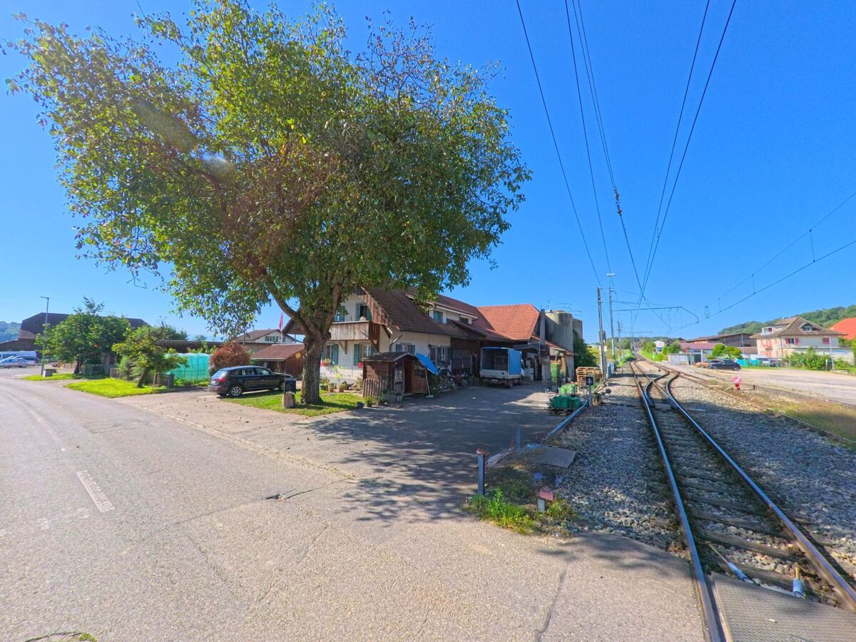 Neben den Bahngleisen in Brüttelen (3237, Kanton Bern) stehen Wohn- und Wirtschaftsgebäude, beschattet von einem grossen Baum.