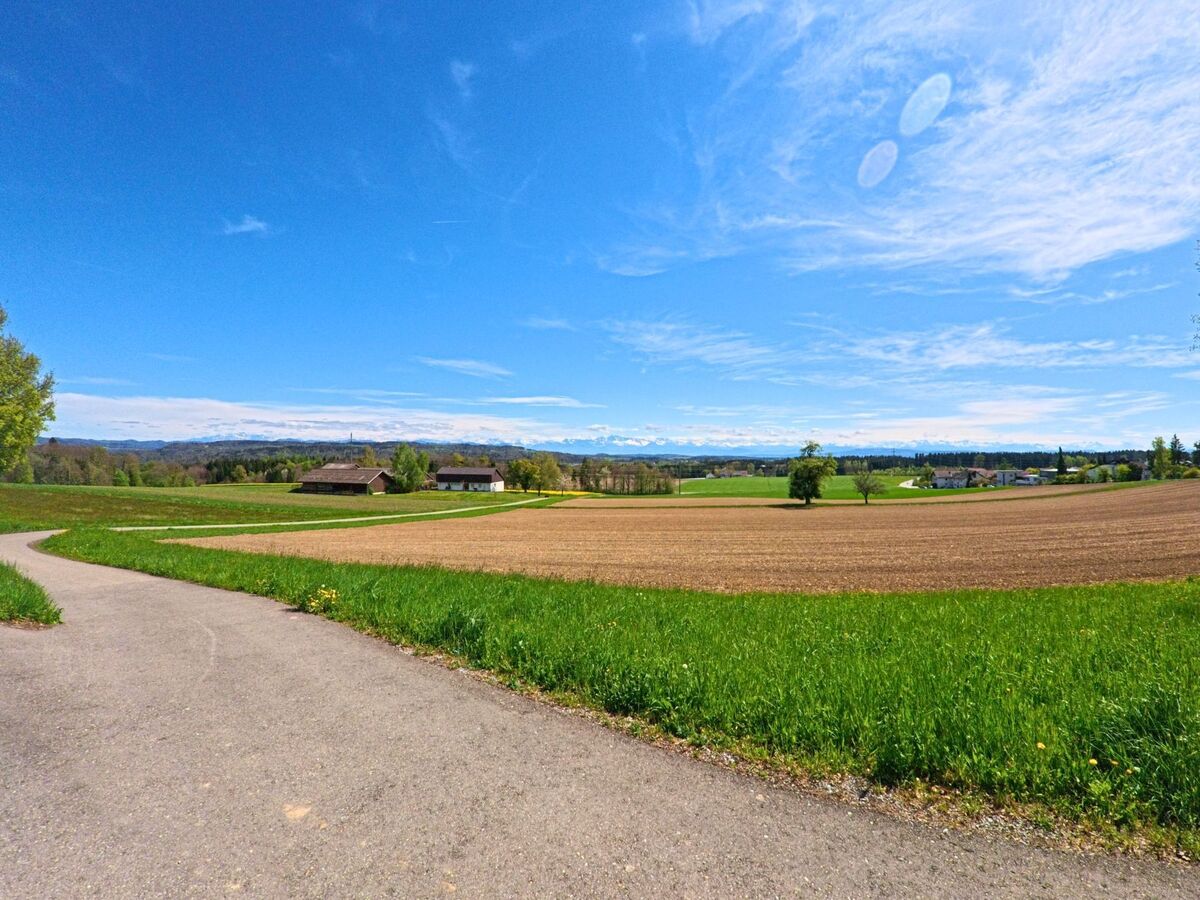 Ein geschwungener Weg in [ORT] 8311 im [KANTON] Zürich führt durch offene Felder mit weitem Blick bis hin zu den Alpen am Horizont.