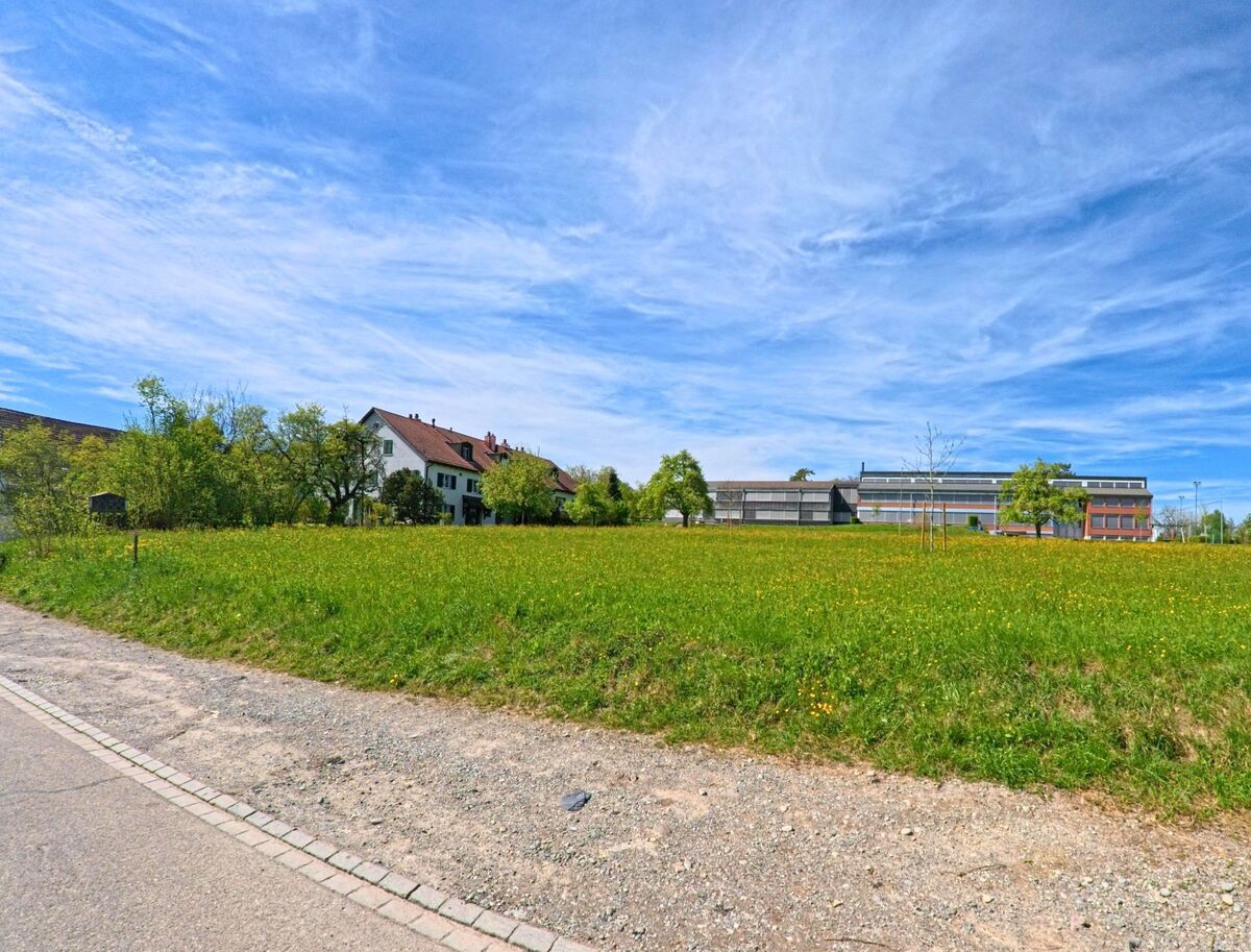 Am Rand von [ORT] 8311 im [KANTON] Zürich liegt eine grüne Wiese, dahinter sind Wohnhäuser und ein modernes Schulgebäude sichtbar.