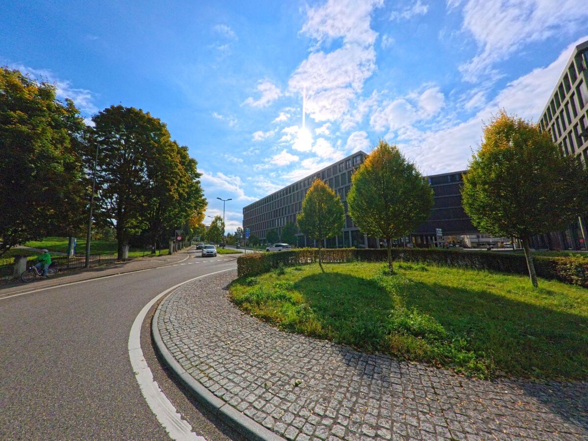In Brugg (5200, Kanton Aargau) verläuft eine Strasse mit rundem Platz und gepflegter Bepflanzung zwischen modernen Gebäuden und alten Bäumen.