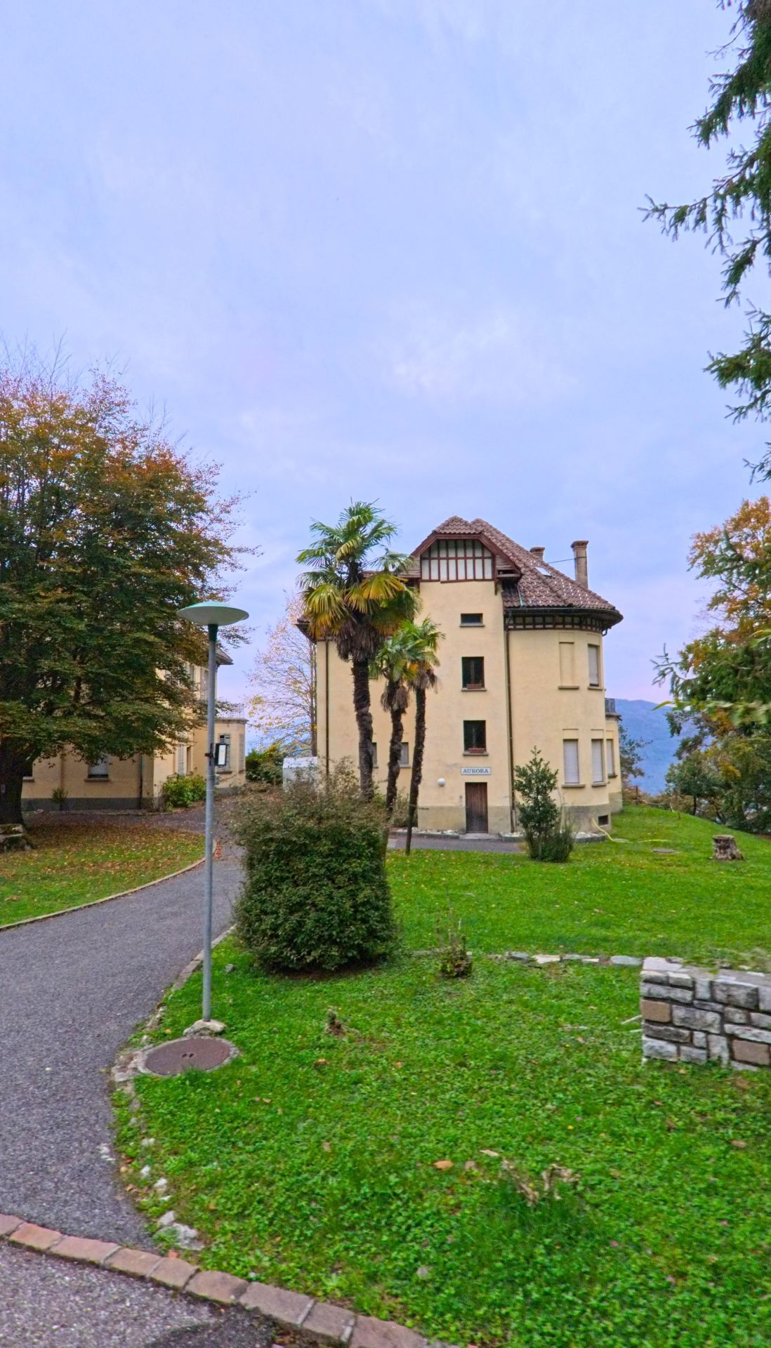 Ein historisches Gebäude mit Palmen im Garten steht in Brusino Arsizio (6827, Kanton Tessin) in erhöhter Lage mit Blick auf die umliegende Landschaft.