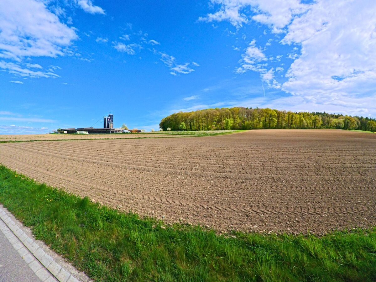 Ein frisch gepflügtes Feld erstreckt sich in Buch am Irchel, 8414 im Kanton Zürich vor einem Waldrand, links im Bild sind Silos eines landwirtschaftlichen Betriebs zu erkennen.