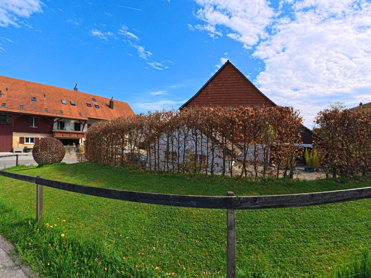 Ein Bauernhaus mit Ziegeldach und gepflegter Hecke steht in Buch am Irchel, 8414 im Kanton Zürich auf einem Grundstück mit Wiese und dekorativer Kugelskulptur.