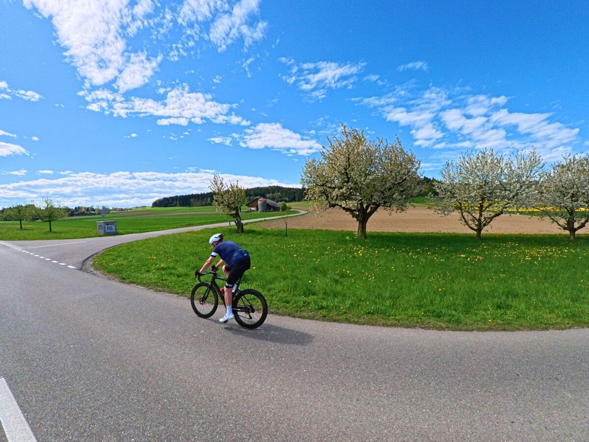 Ein Radfahrer fährt auf einer Landstrasse durch blühende Obstbäume in Buch am Irchel, 8414 im Kanton Zürich, mit Blick auf Felder und ein einzelnes Bauernhaus.