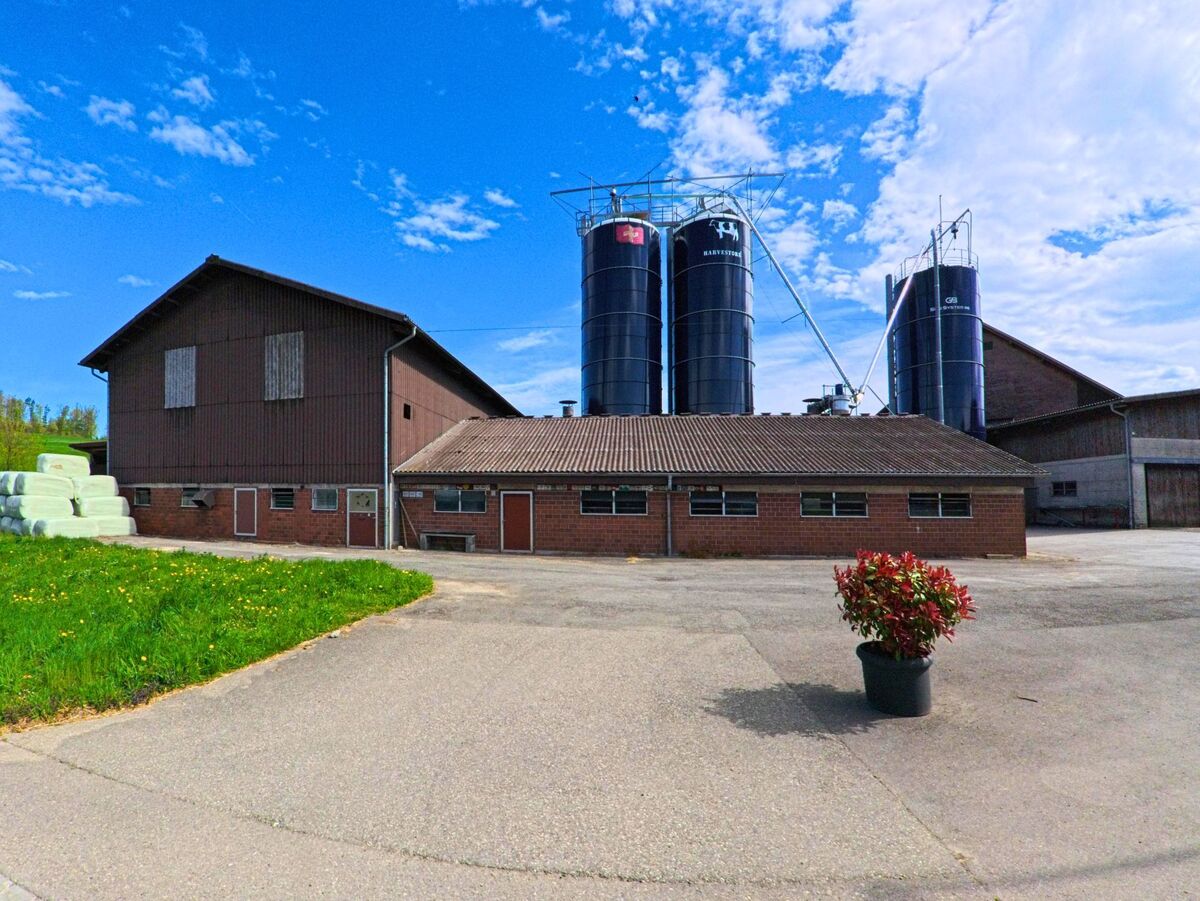 In Buch am Irchel, 8414 im Kanton Zürich steht bei der Haltestelle Belikon ein landwirtschaftlicher Betrieb mit mehreren Silos und Wirtschaftsgebäuden.