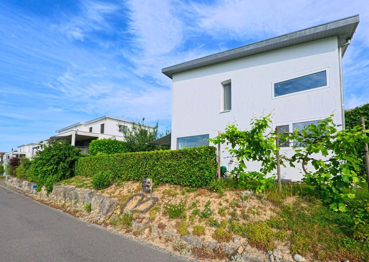 In einem Wohnquartier von Bühl (3274, Kanton Bern) steht ein modernes, weisses Einfamilienhaus mit kleinen Reben vor dem Gebäude.