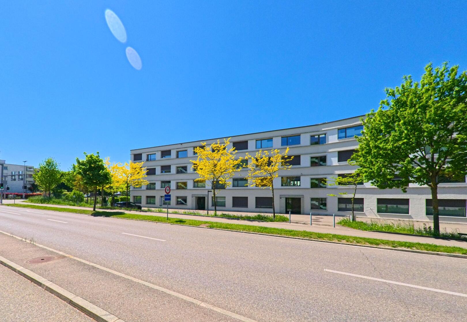 In Bülach im Kanton Zürich (PLZ 8180) verläuft eine breite Strasse entlang moderner Wohngebäude mit jungen Bäumen am Gehweg.