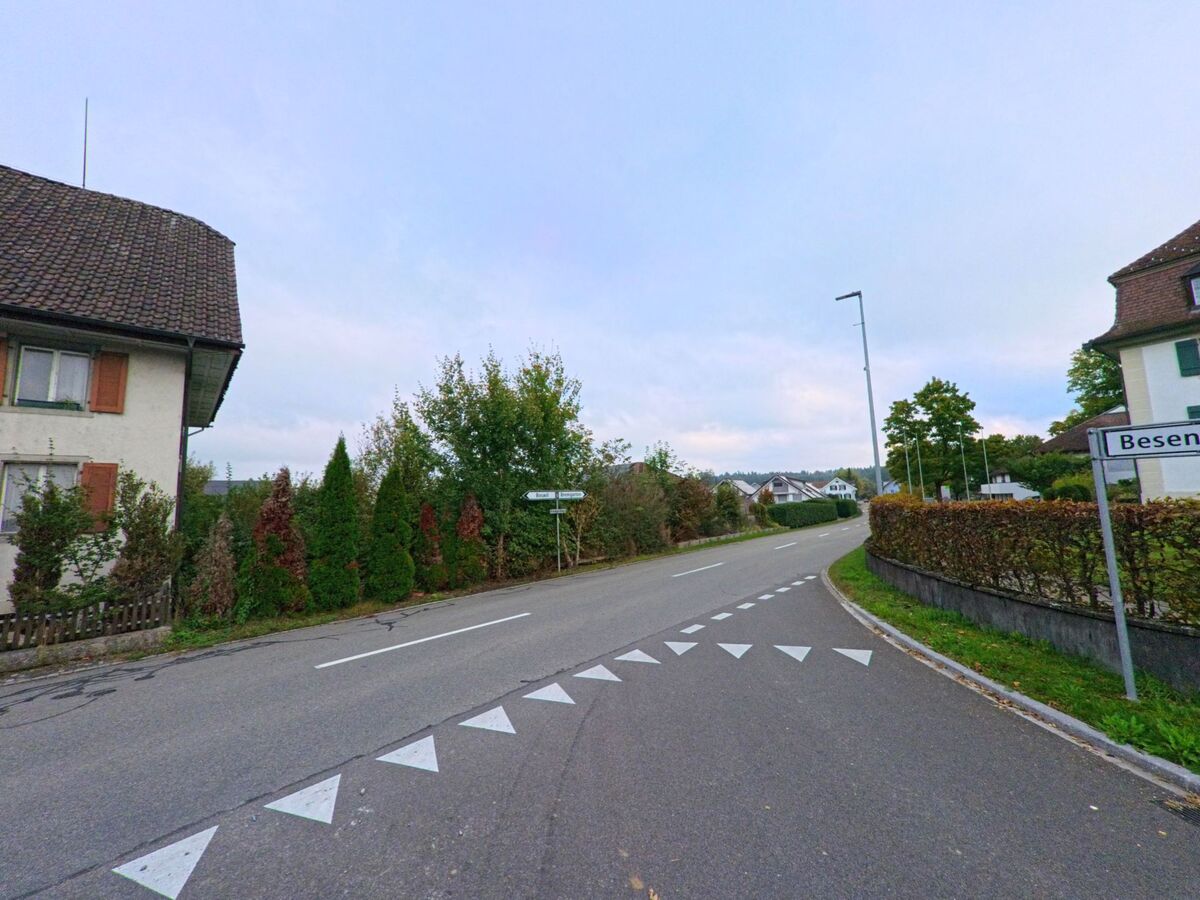 An der Ausfahrt von Bünzen (5624, Kanton Aargau) führt die Strasse in Richtung Besenbüren, gesäumt von Wohnhäusern mit gepflegten Hecken und Bäumen.