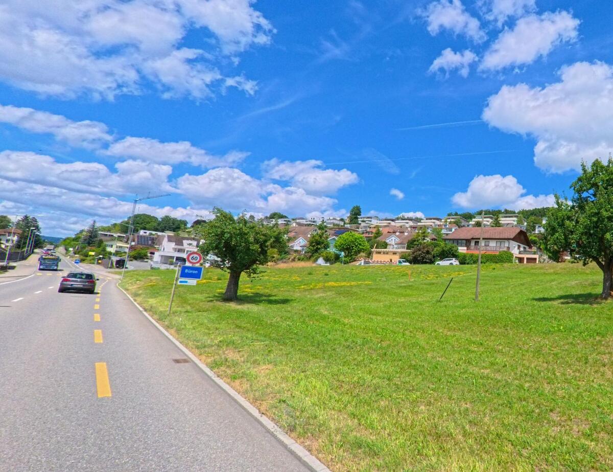 Eine Ausfallstrasse fuehrt in die Gemeinde Bueron (6233, Kanton Luzern) hinein, vorbei an Wiesen, Einfamilienhaeusern und dem Ortsschild bei Tempo-60-Zone.