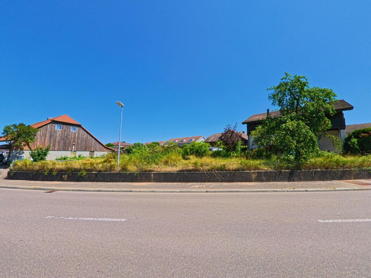 In Büetigen (3263, Kanton Bern) liegt zwischen zwei Wohnhäusern ein verwildertes Grundstück mit Buschwerk und altem Baumbestand an einer Kurve der Dorfstrasse.
