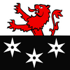 Bursinel
