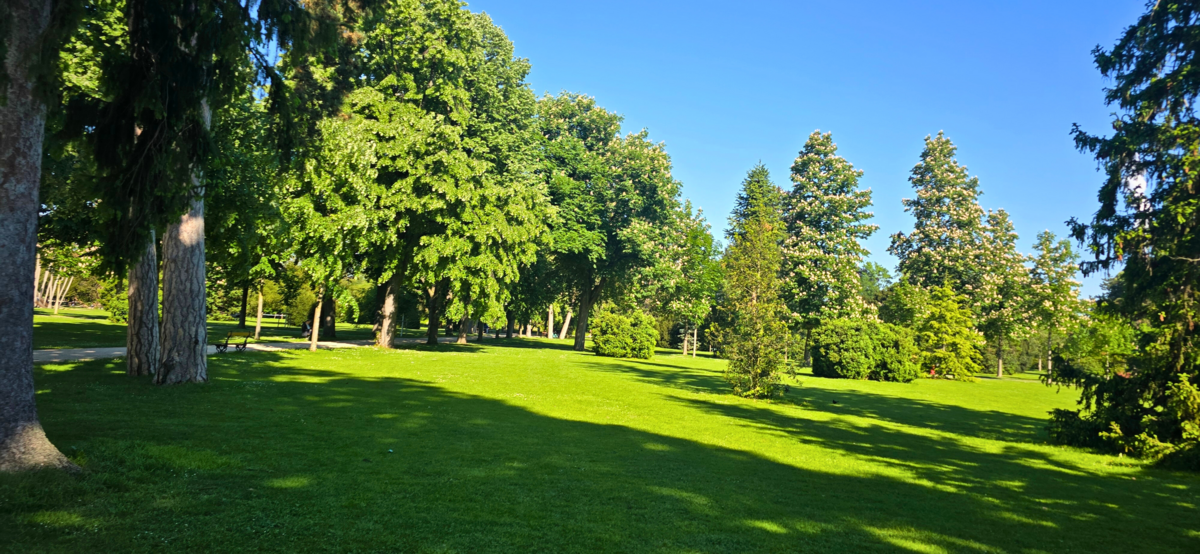 Erholungsbereich mit Liegestühlen im Park Basel