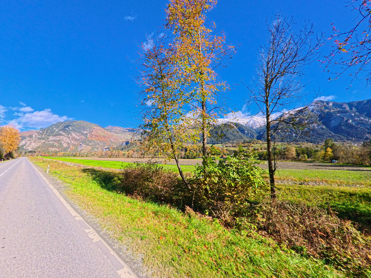 Eine Landstrasse verlaeuft neben Wiesen und Baeumen vor der Bergkulisse von Cazis (7405, Kanton Graubünden).