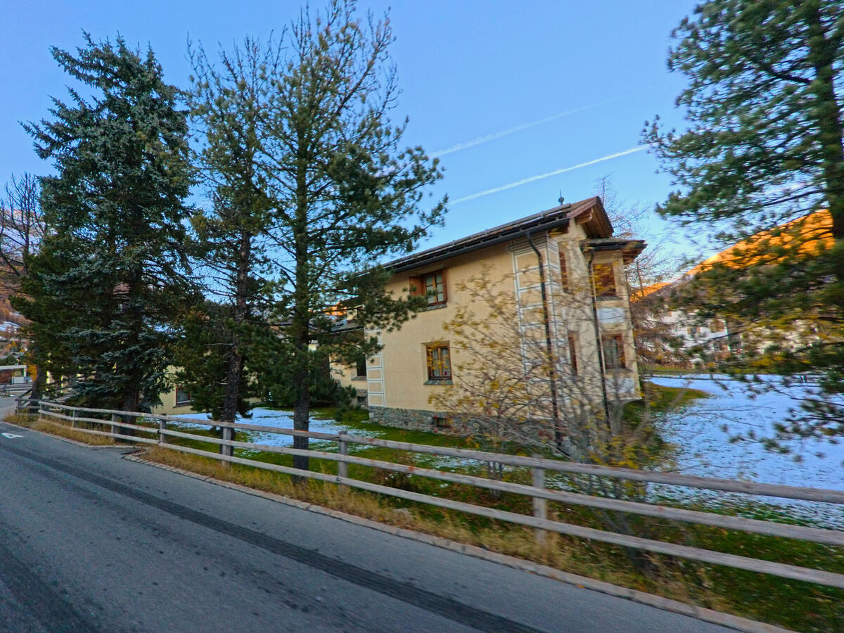 Entlang einer Quartierstrasse reihen sich Wohnhaeuser und Baeume in Celerina/Schlarigna (7502, Kanton Graubünden).