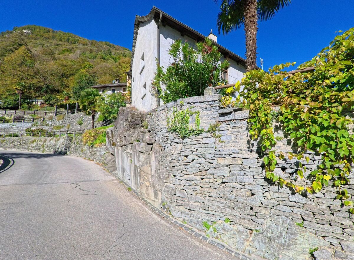 Eine schmale Strasse in Cevio (6675, Kanton Tessin) windet sich an einer Steinmauer mit Weinranken und einer weissen Hausfassade vorbei.