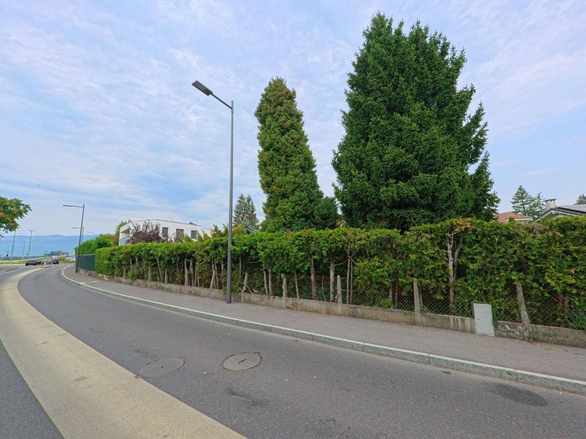 Eine breite Strasse in Chambesy (1292, Kanton Genf) verläuft an einer hohen Hecke entlang, hinter der sich grosse Baeume erheben.