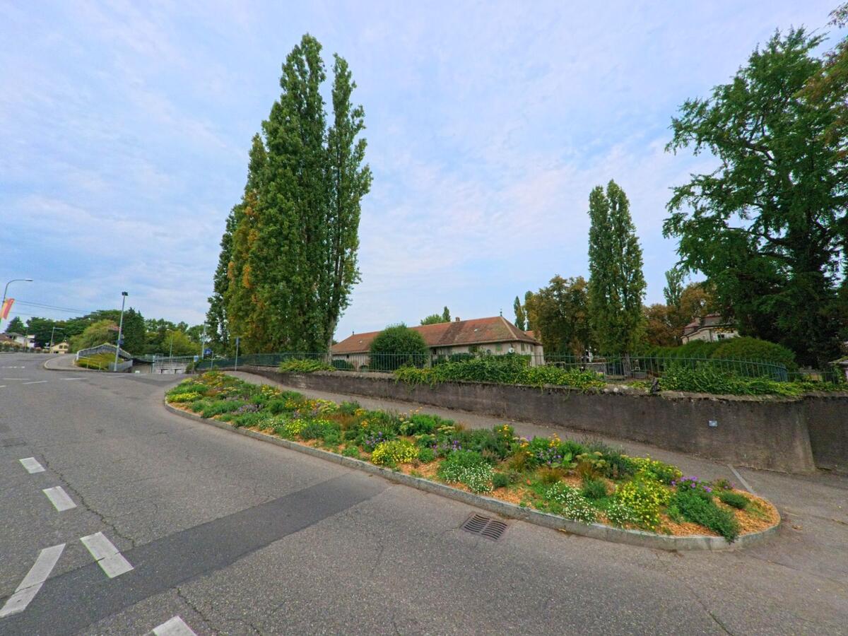 Eine bepflanzte Verkehrsinsel mit bunten Blumen liegt an einer breiten Strasse in Chambesy (1292, Kanton Genf), flankiert von hohen Baeumen und Mauern.
