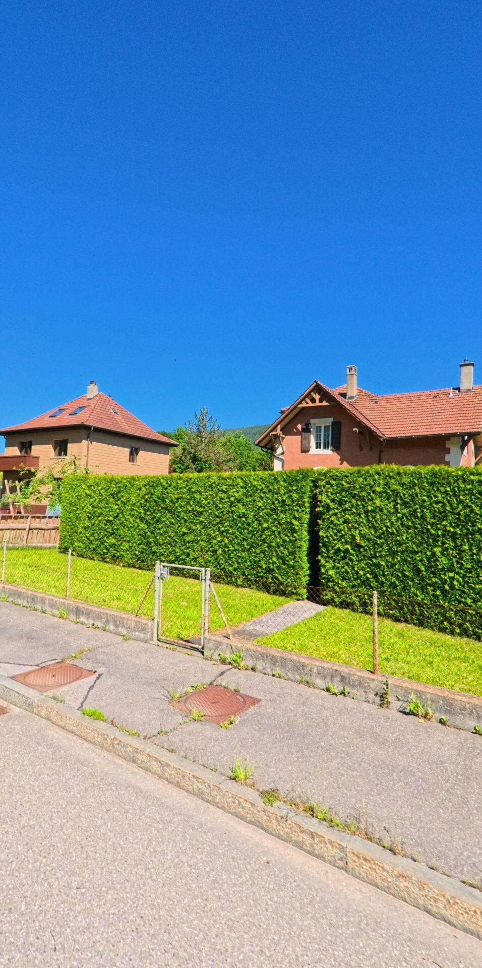 Hinter einer dicht geschnittenen Hecke in Champoz (2735, Kanton Bern) stehen zwei Einfamilienhaeuser mit roten Daechern vor dem klaren blauen Himmel.