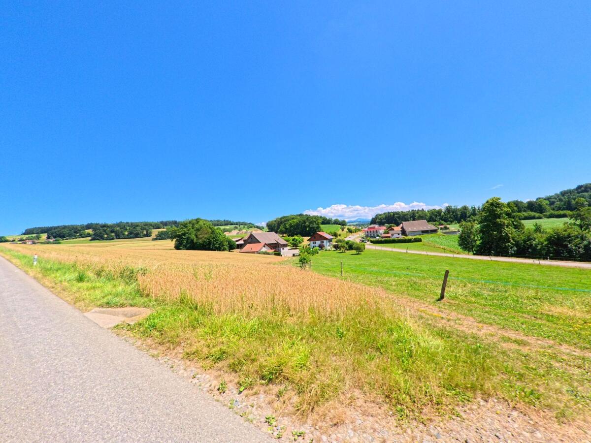 In Chavannes-sur-Moudon (1512, Kanton Waadt) breitet sich eine ländliche Landschaft mit Feldern und verstreuten Bauernhäusern unter blauem Himmel aus.