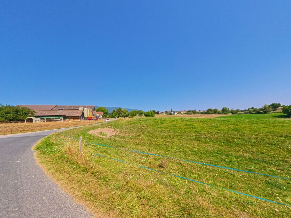 Von einer Landstrasse in Chavannes-le-Veyron (1148, Kanton Waadt) aus bietet sich ein weiter Blick über grüne Wiesen auf das Dorf und die umliegenden Felder.