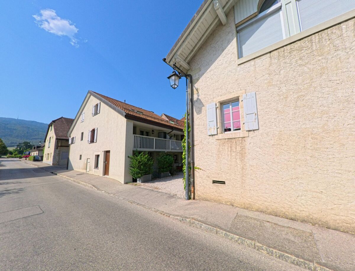 Zwischen den Wohnhaeusern in Chéserex (1275, Kanton Waadt) begutachtet ein Kammerjaeger die Hausfassade auf moegliche Insektennester.