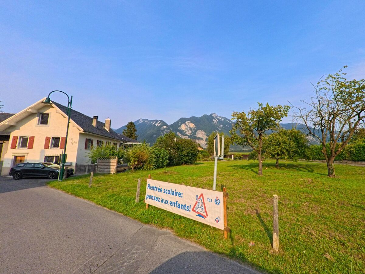 Ein Haus mit roten Fensterlaeden in Chessel (1846, Kanton Waadt) steht neben einer Wiese mit Baeumen und Blick auf die Berge.