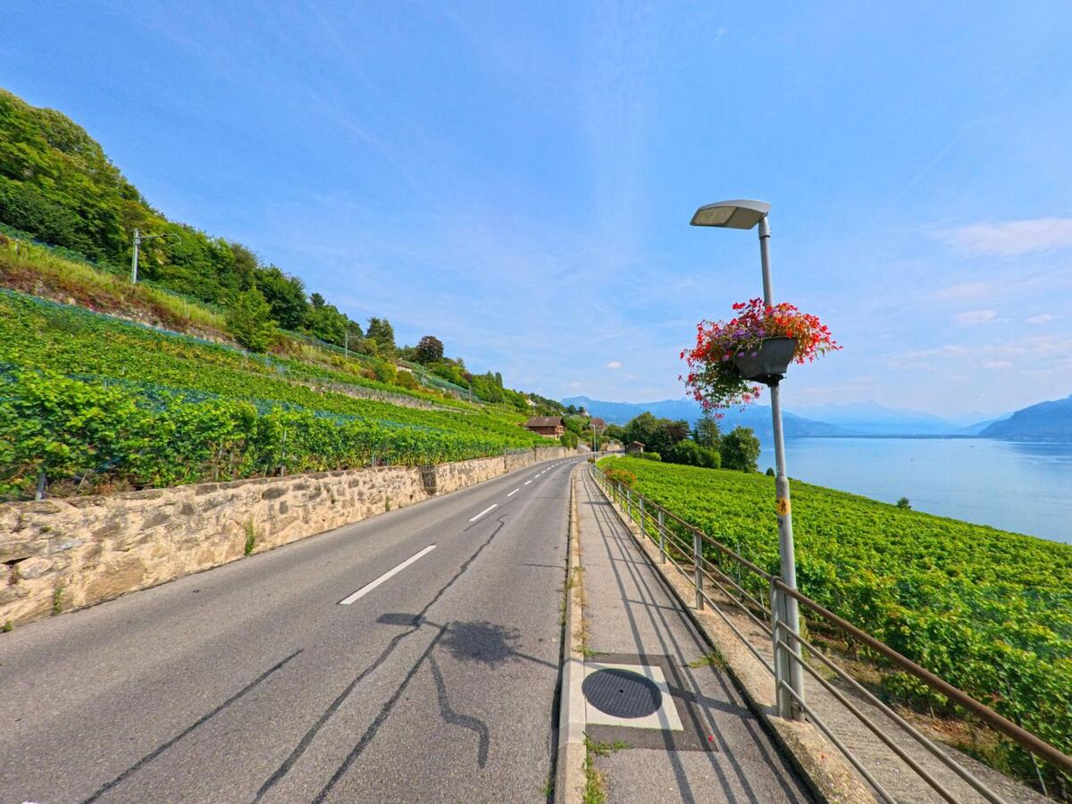 Eine Strasse in Chexbres (1071, Kanton Waadt) verläuft zwischen Rebhängen und dem Genfersee, gesäumt von einer Steinmauer und einer blühenden Laterne.