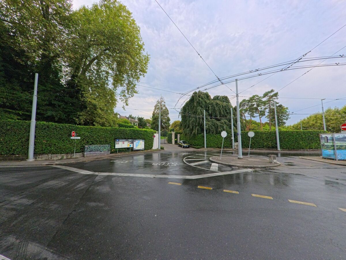 Eine Kreuzung in Cologny (1208, Kanton Genf) mit Fahrleitungen für Oberleitungsbusse und hohen grünen Hecken nach einem Regenschauer.