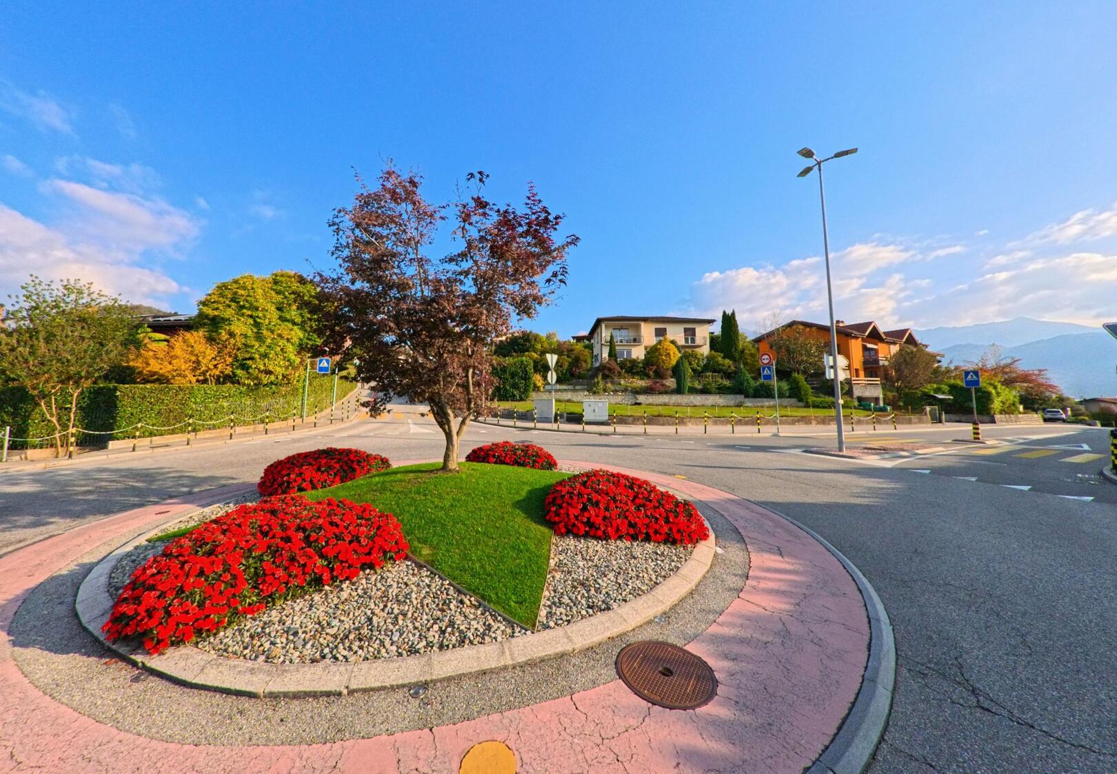 Auf einer verkehrsinsel in Comano (6949, Kanton Tessin) ist ein kleiner Baum von gepflegten Blumenbeeten umgeben, während Wohnhaeuser und Strassen den Hintergrund bilden.