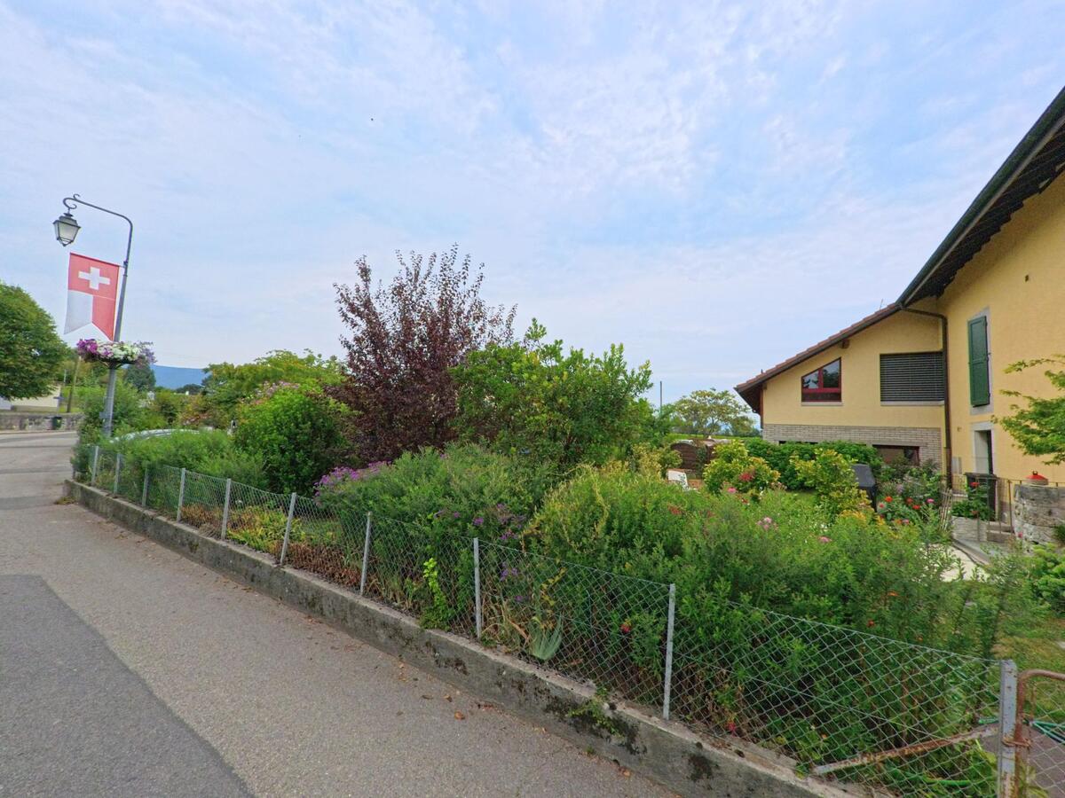 In Commugny (1291, Kanton Waadt) saeumen gepflegte Gaerten mit bunten Straeuchern und Blumen die Strasse neben Wohnhaeusern.