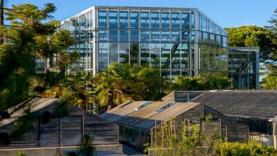 In Chambesy-Geneve (1292, Kanton Genf) erhebt sich das moderne Gewaechshaus des Conservatoire et Jardin Botanique, umgeben von Palmen und Pflanzen.