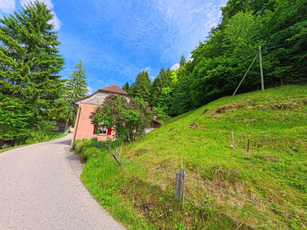 Auf einer ansteigenden Strasse in Corcelles (2747, Kanton Bern) steht ein rosafarbenes Haus mit roten Fensterläden neben einem blühenden Strauch und einem steilen, bewaldeten Hang.