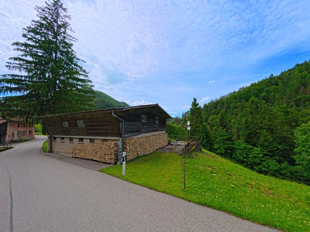 Am Waldrand von Corcelles (2747, Kanton Bern) liegt ein Holzschuppen mit gestapeltem Brennholz, neben einer schmalen Strasse, die an einem steilen, bewachsenen Hang vorbeiführt.