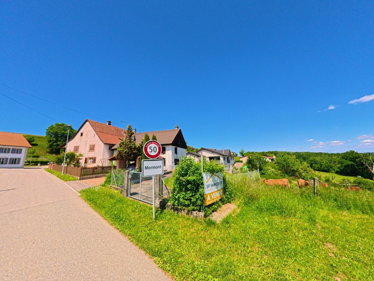 Am Rand von Courchavon (2922, Kanton Jura) stehen mehrere Wohnhäuser entlang einer Landstrasse, begleitet von einer Weide mit Rindern und weitem Ausblick ins Grüne.
