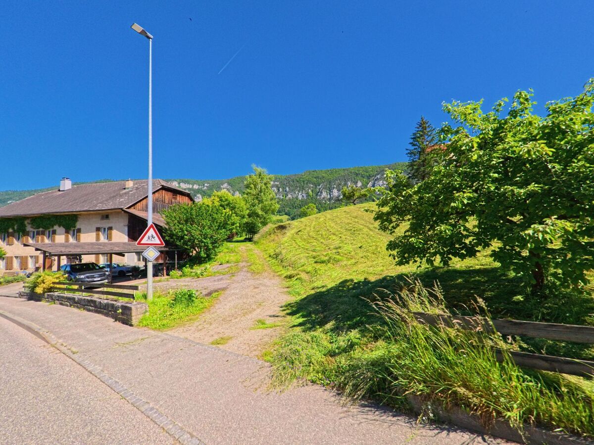 Am Rand eines Wohngebiets in Crémines (2746, Kanton Bern) führt ein schmaler Weg zwischen Wiese und Häusern einen sanften Hang hinauf zur bewaldeten Felswand.