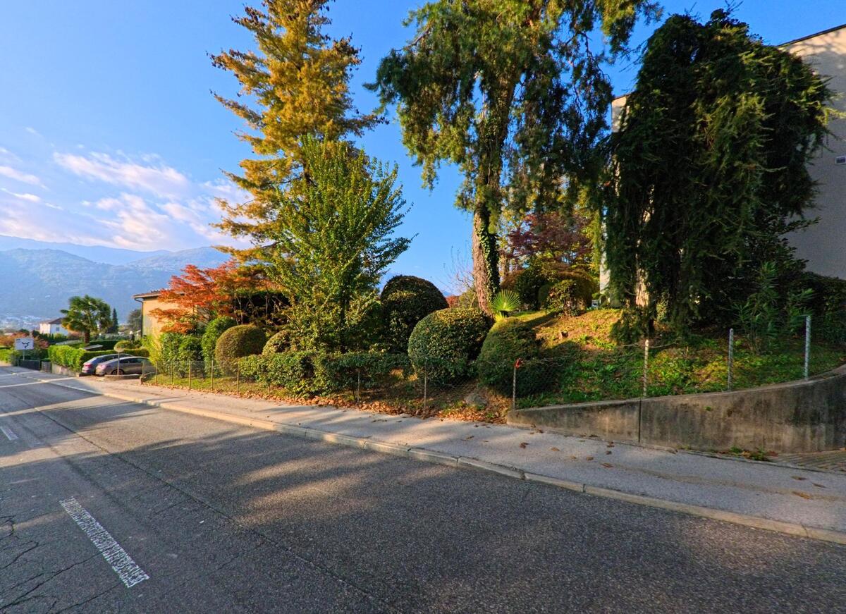 Entlang einer ruhigen Strasse mit Trottoir liegt ein begrünter Hang mit hohen Bäumen und gepflegten Sträuchern in Cureglia (6944, Kanton Tessin) im sanften Licht.
