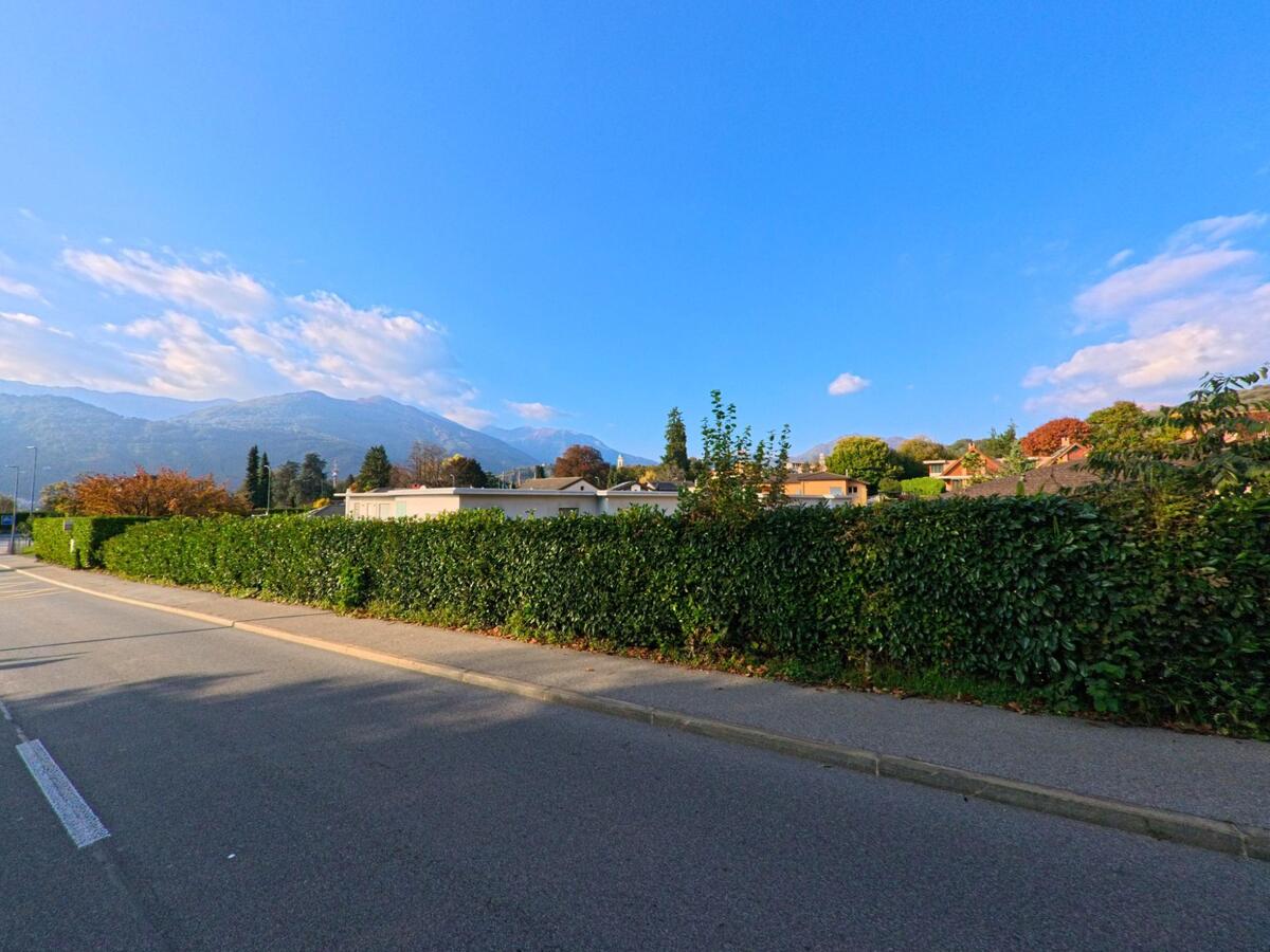 Eine lange Hecke begleitet eine ruhige Strasse mit Blick auf Wohnhäuser und Berge in Cureglia (6944, Kanton Tessin) bei klarem Wetter.