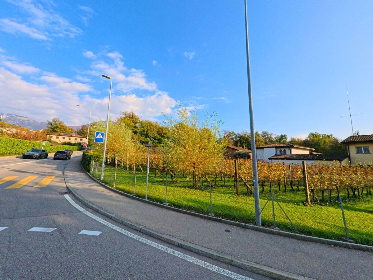 Entlang einer leicht gebogenen Strasse mit Fussgängerstreifen verläuft ein grünes Grundstück mit Bäumen und Reben in Cureglia (6944, Kanton Tessin) unter blauem Himmel.