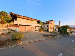 Curio (Lema)